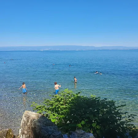 Chalon Шале *